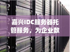 嘉兴IDC服务器托管服务，为企业数字化转型提供坚实基石