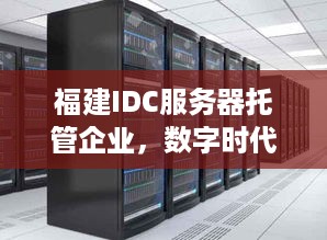 福建IDC服务器托管企业，数字时代的基础设施守护者