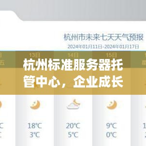 杭州标准服务器托管中心，企业成长的加速器