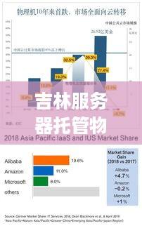 吉林服务器托管物理机——稳定与高效的双重追求