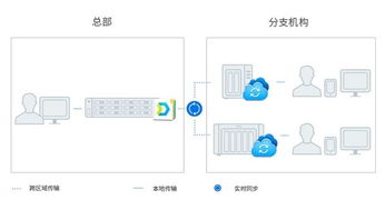 海南服务器托管服务概览，全面解读托管方案与优势