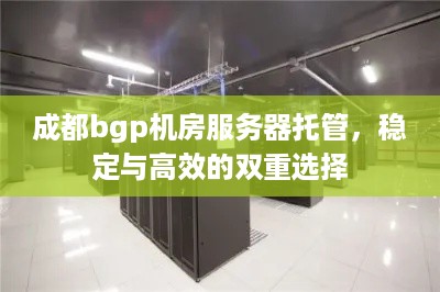 成都bgp机房服务器托管，稳定与高效的双重选择