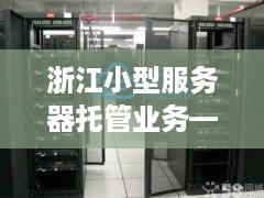 浙江小型服务器托管业务——数字化时代的坚实后盾