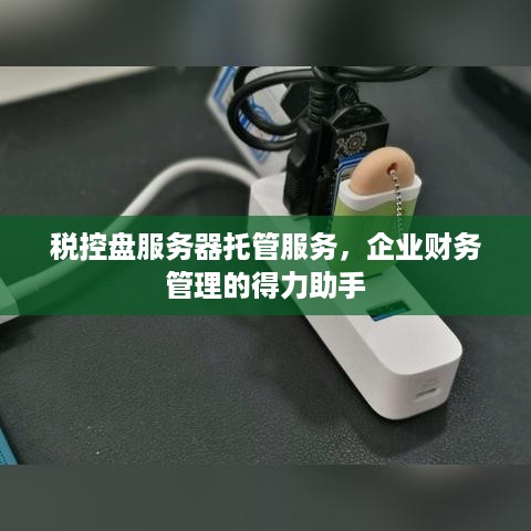 税控盘服务器托管服务，企业财务管理的得力助手