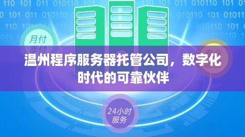 温州程序服务器托管公司，数字化时代的可靠伙伴