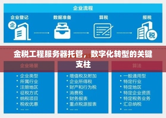 金税工程服务器托管，数字化转型的关键支柱