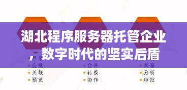 湖北程序服务器托管企业，数字时代的坚实后盾