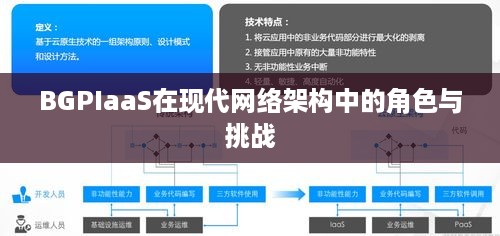 BGPIaaS在现代网络架构中的角色与挑战