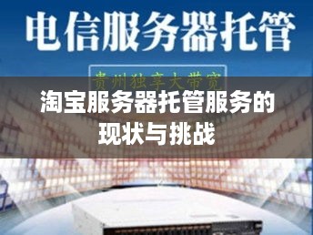 淘宝服务器托管服务的现状与挑战