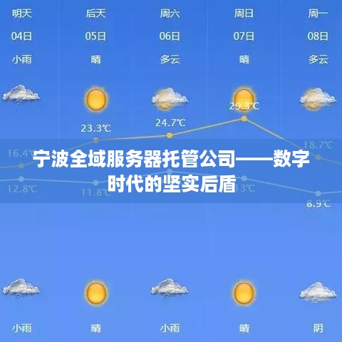宁波全域服务器托管公司——数字时代的坚实后盾
