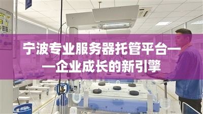 宁波专业服务器托管平台——企业成长的新引擎