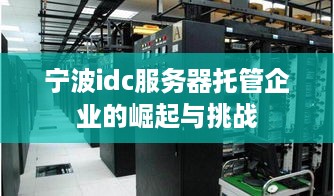 宁波idc服务器托管企业的崛起与挑战