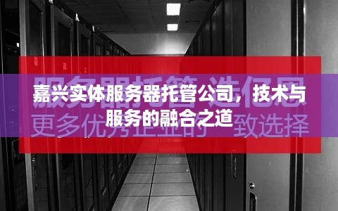 嘉兴实体服务器托管公司，技术与服务的融合之道