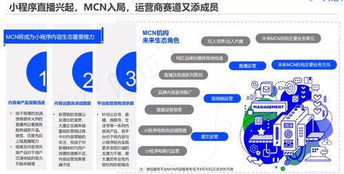 温州程序服务器托管业务的发展与创新