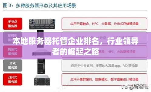 本地服务器托管企业排名，行业领导者的崛起之路