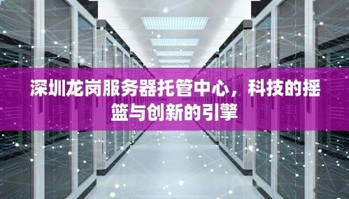 深圳龙岗服务器托管中心，科技的摇篮与创新的引擎