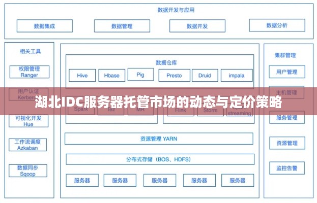 湖北IDC服务器托管市场的动态与定价策略