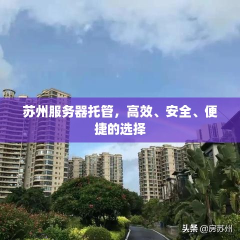 苏州服务器托管，高效、安全、便捷的选择