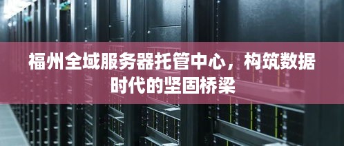 福州全域服务器托管中心，构筑数据时代的坚固桥梁