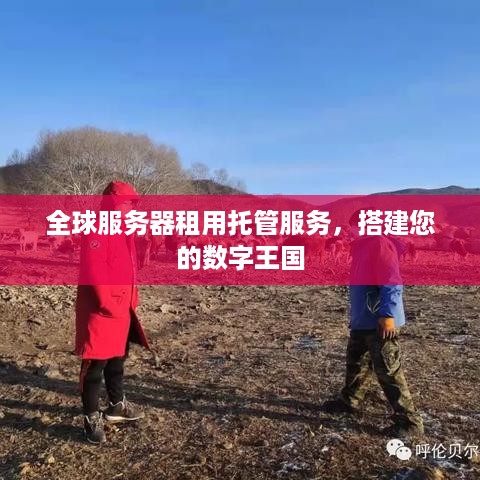 全球服务器租用托管服务，搭建您的数字王国