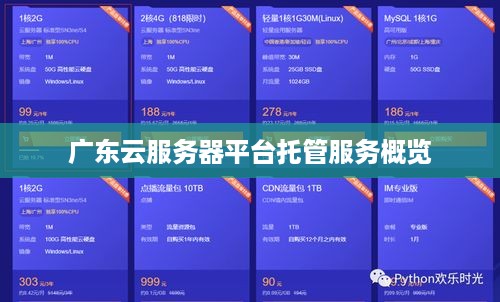 广东云服务器平台托管服务概览