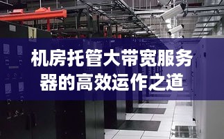 机房托管大带宽服务器的高效运作之道