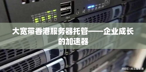 大宽带香港服务器托管——企业成长的加速器