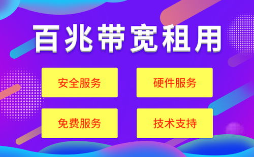 大宽带香港服务器托管——企业成长的加速器