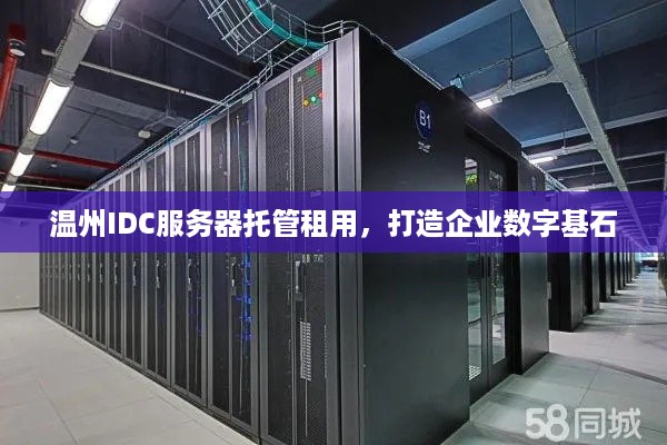 温州IDC服务器托管租用，打造企业数字基石