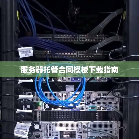 服务器托管合同模板下载指南