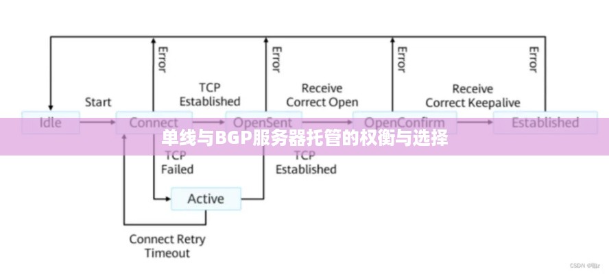 单线与BGP服务器托管的权衡与选择