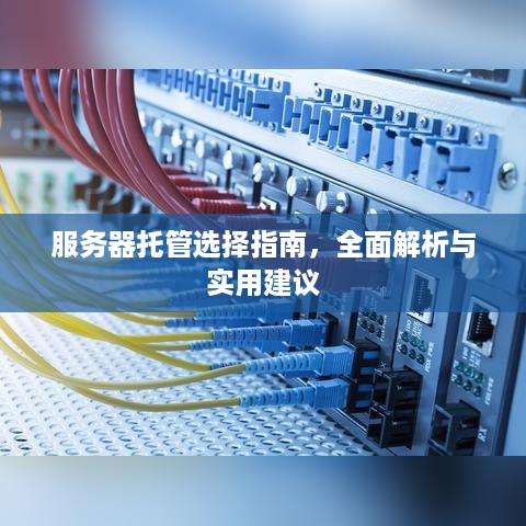 服务器托管选择指南，全面解析与实用建议