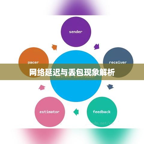 网络延迟与丢包现象解析