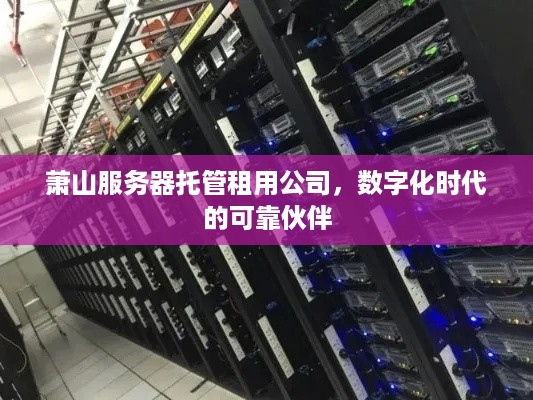 萧山服务器托管租用公司，数字化时代的可靠伙伴