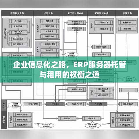 企业信息化之路，ERP服务器托管与租用的权衡之道