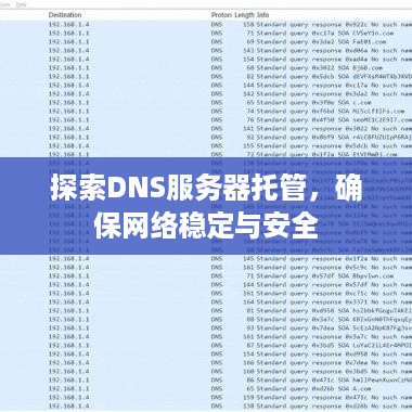 探索DNS服务器托管，确保网络稳定与安全