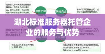 湖北标准服务器托管企业的服务与优势