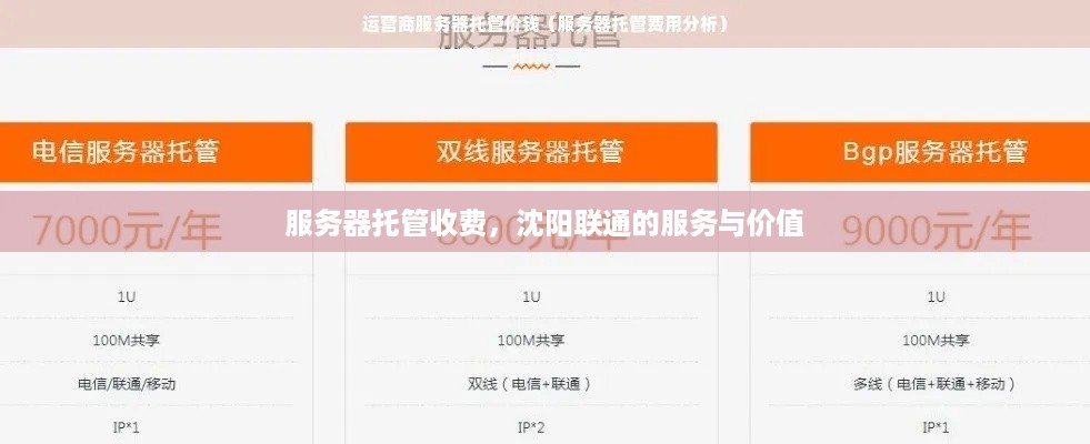 服务器托管收费，沈阳联通的服务与价值