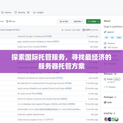 探索国际托管服务，寻找最经济的服务器托管方案