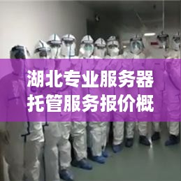 湖北专业服务器托管服务报价概览