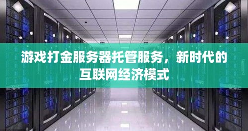 游戏打金服务器托管服务，新时代的互联网经济模式