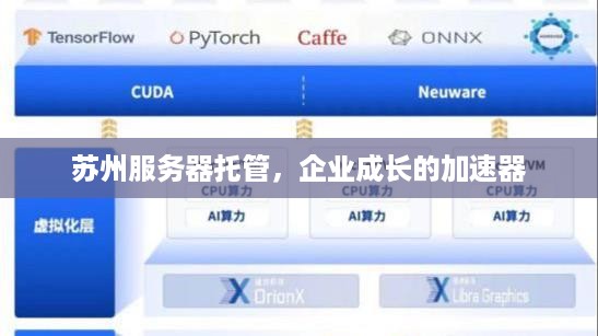 苏州服务器托管，企业成长的加速器