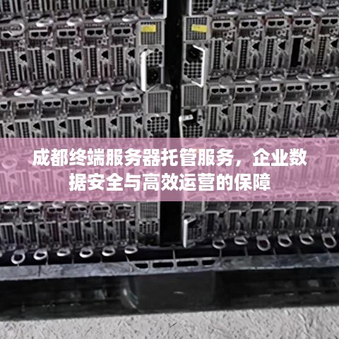 成都终端服务器托管服务，企业数据安全与高效运营的保障