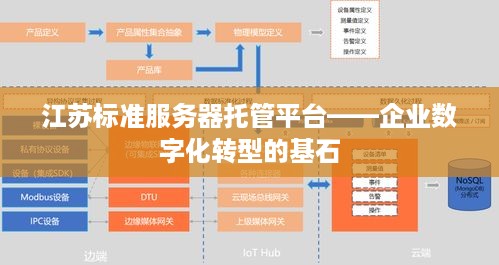 江苏标准服务器托管平台——企业数字化转型的基石