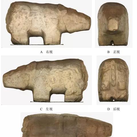 深圳虚拟服务器托管——企业数字化转型的加速器