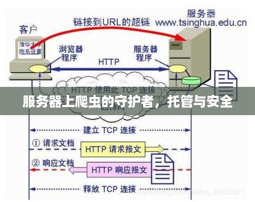 服务器上爬虫的守护者，托管与安全