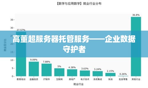 高董超服务器托管服务——企业数据守护者