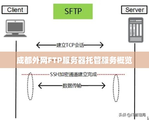 成都外网FTP服务器托管服务概览