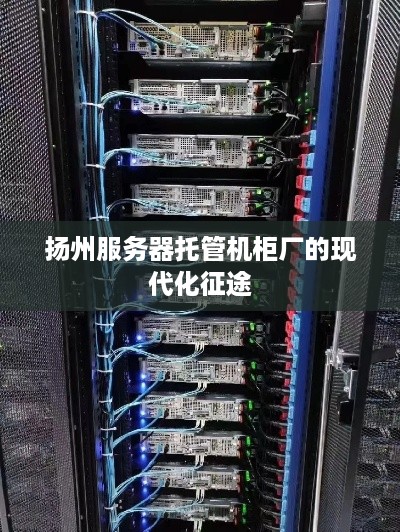 扬州服务器托管机柜厂的现代化征途