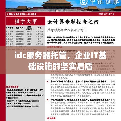 idc服务器托管，企业IT基础设施的坚实后盾